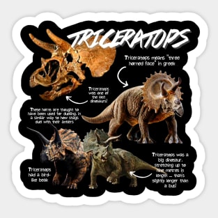 Triceratops Fun Facts Sticker